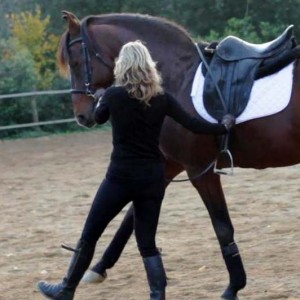 maria katsamanis horse clinics classical dressage art of horsemanship4 2 300x300